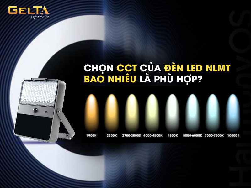 Chọn CCT đèn led nlmt bao nhiêu là phù hợp
