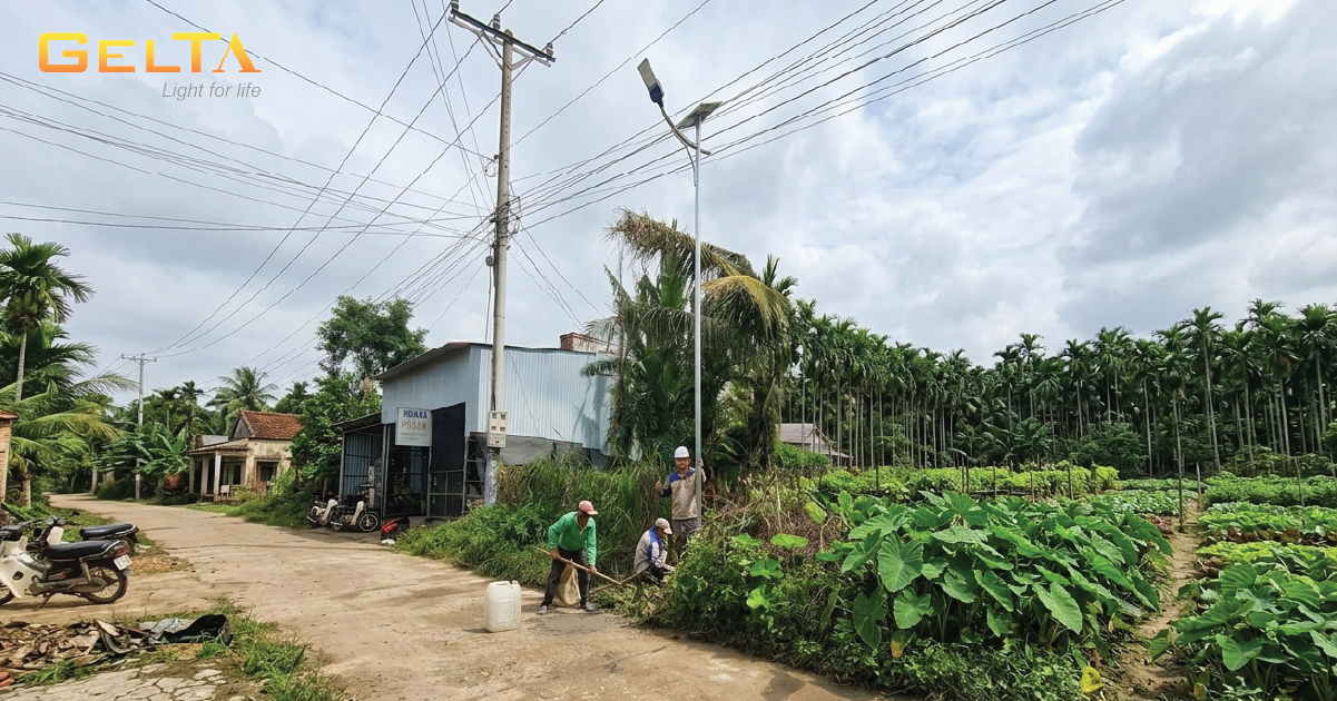 Đèn đường NLMT