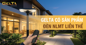 Đèn năng lượng mặt trời liền thể Gelta